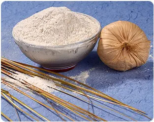 Homemade Onion Powder