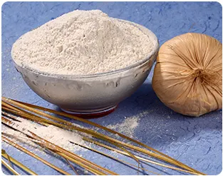White Onion Powder