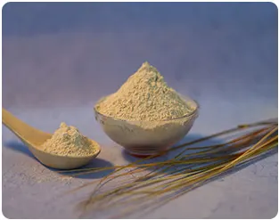 Dehydrated Garlic Powder